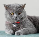 Smart Pet Tag - BLUE  - NEW